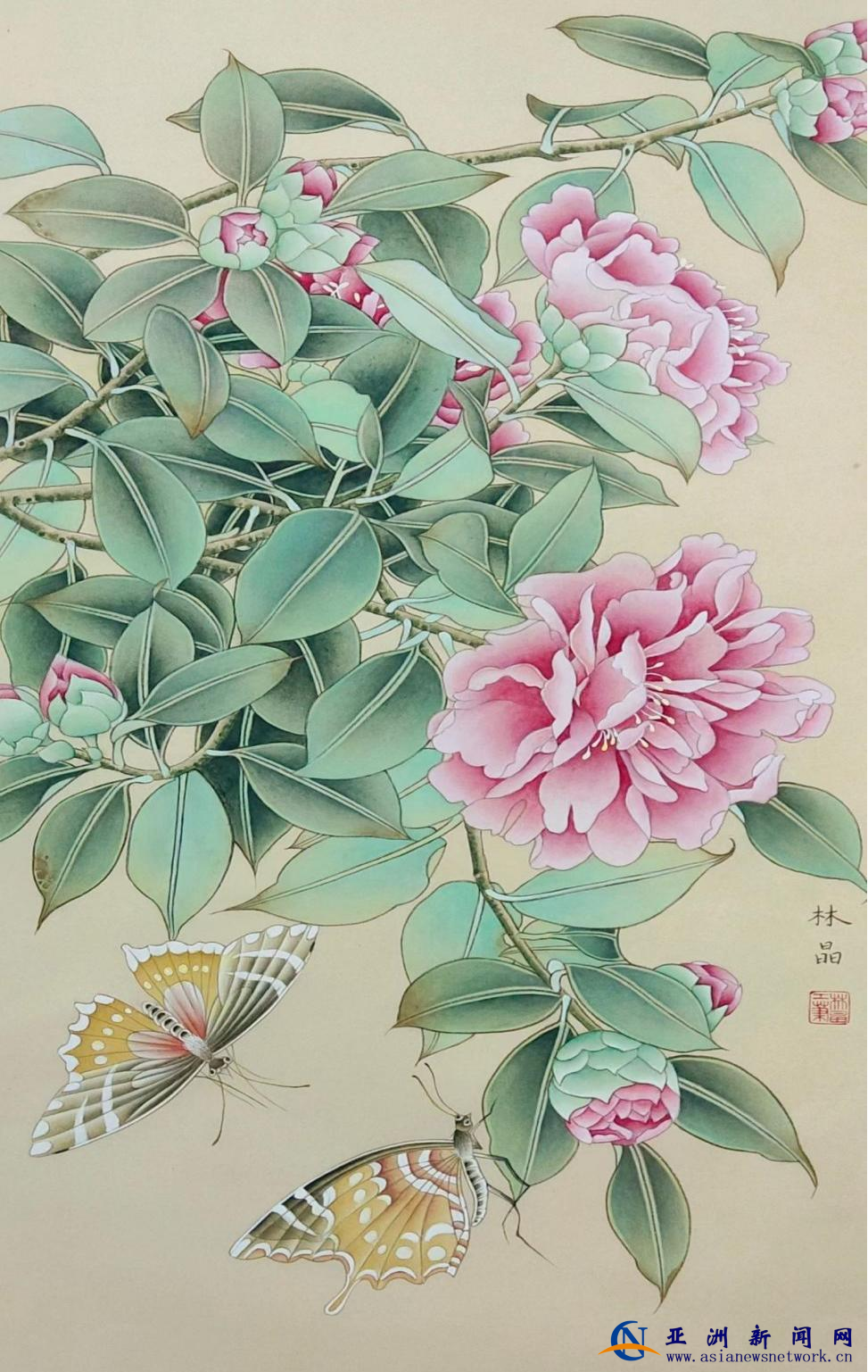 1772453342786629.png 1772453342786629.png