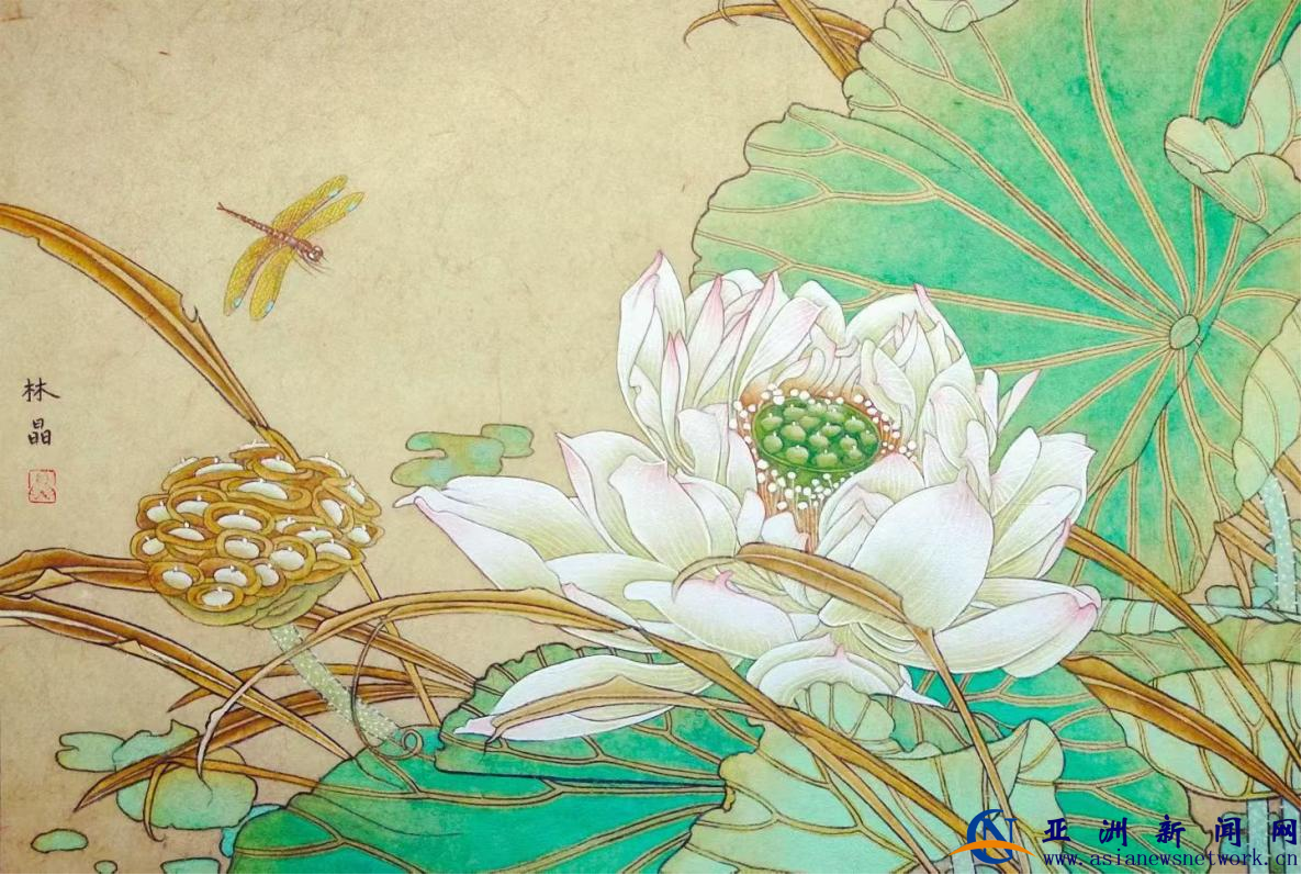 1772453399128082.png 1772453399128082.png